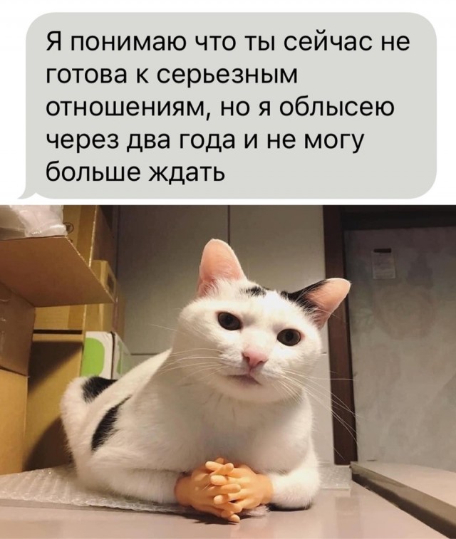 Завалялось тут случайно немного забавных картинок