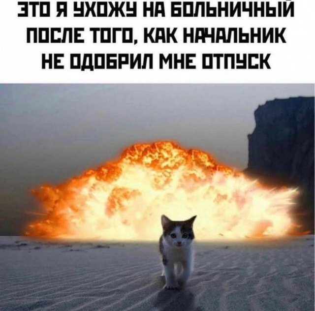 42 пятничных картинки 13.09.2024
