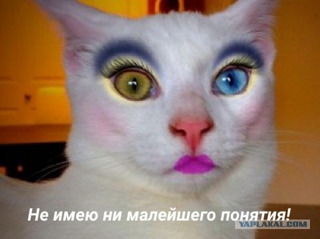 По мнению многих россиян, макияж Татьяны Петровой не сочетается с форменной одеждой полковника МВД РФ