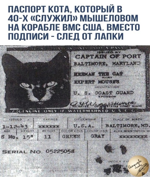 Картинки вечером в четверг