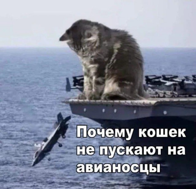 А вот почему