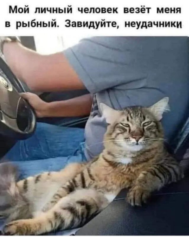 Картинки разные с надписями и без