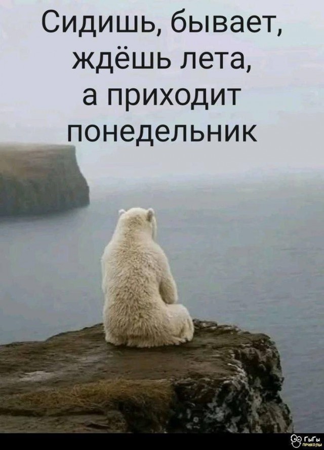 Юмор из букв в картинках за день и суета