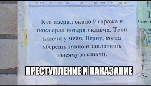 Смешные картинки с надписями и планы на лето 2025