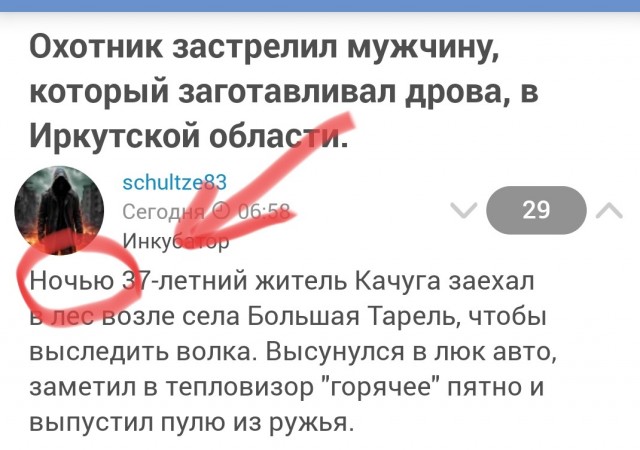 Охотник застрелил мужчину, который заготавливал дрова, в Иркутской области.