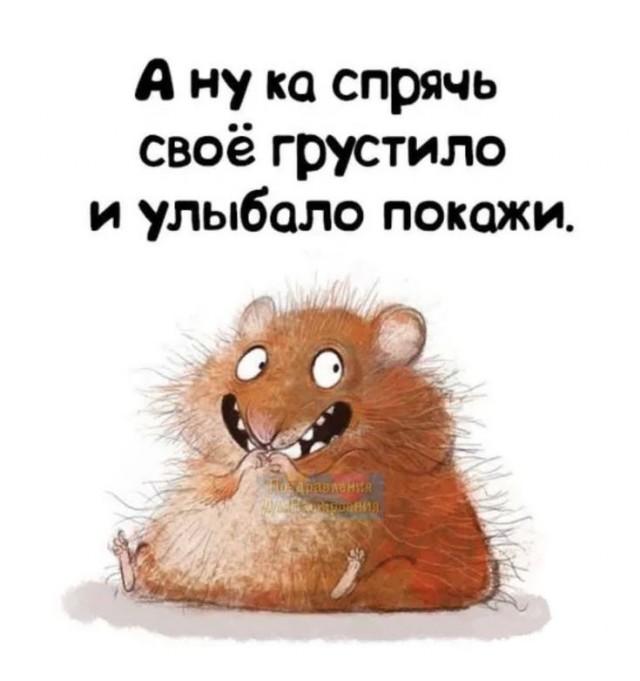 Прикольные и просто красивые картинки 02.12.2025