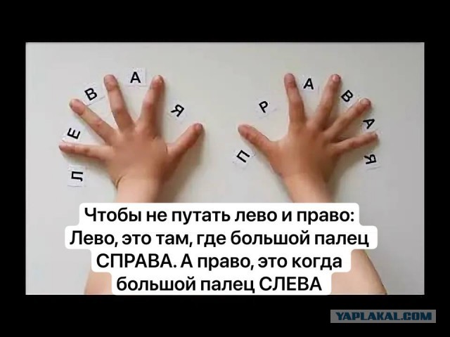 Околокулинарная подборка длинных выходных.