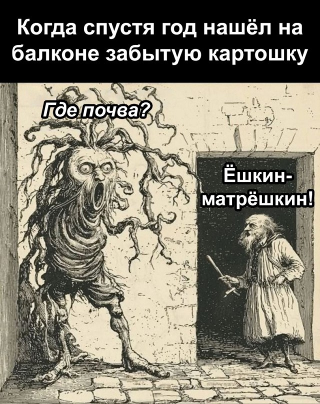 Картинки для деградации 204 (разной степени свежести)