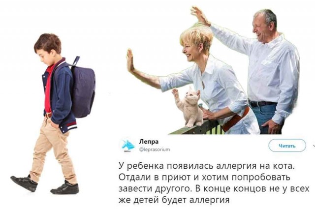 Подборка картинок к котовторнику