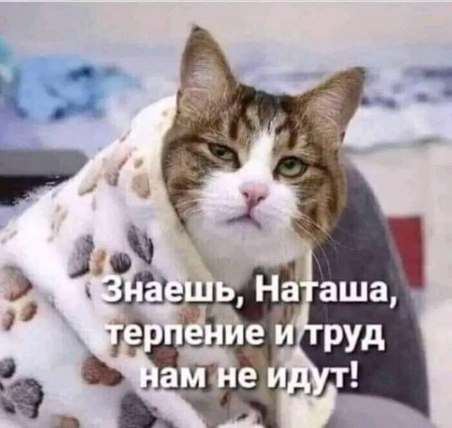 Найди себе уже мужика, Наташа!