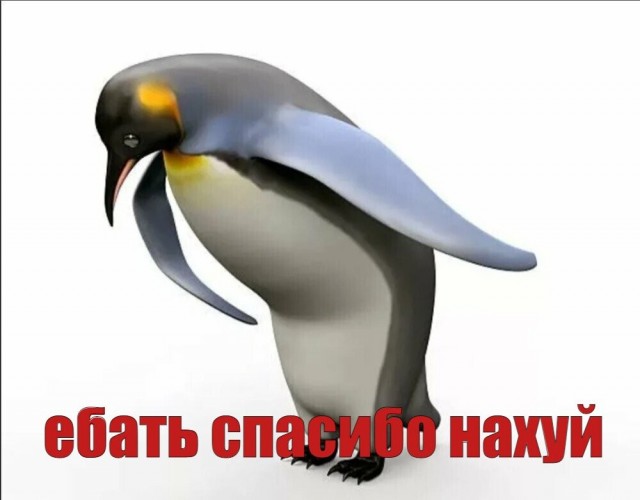 В Госдуме предложили снизить пошлину за регистрацию брака  до 1 рубля