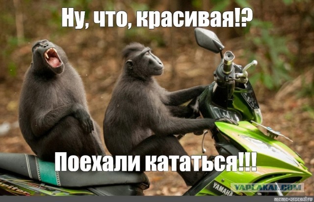 А может плюнуть на всё