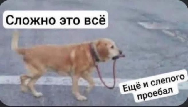 Картинки на вторник