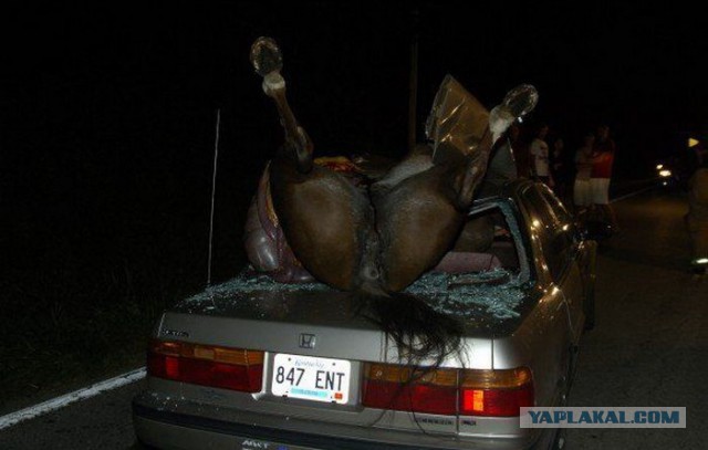 Жесткое ДТП