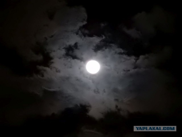 Моя поездка на Мадагаскар