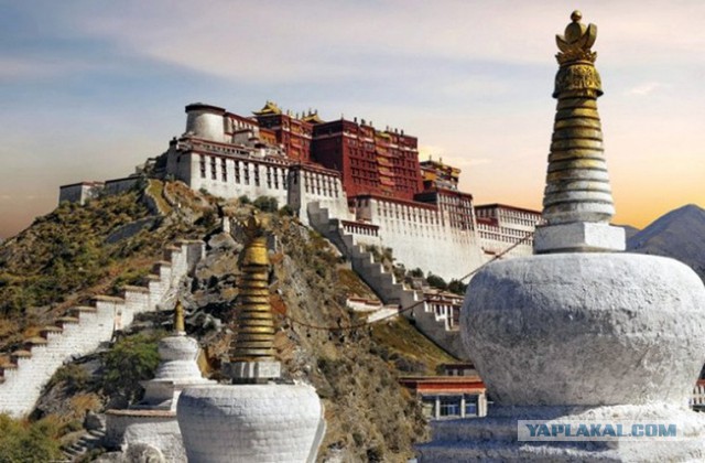 10 попыток вещественно доказать реинкарнацию