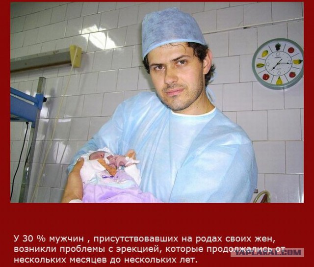 20 фактов обо всем