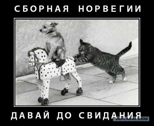 Чемпионат Мира  по хоккею 2015