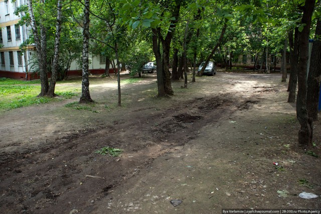 Про щукинских жуликов