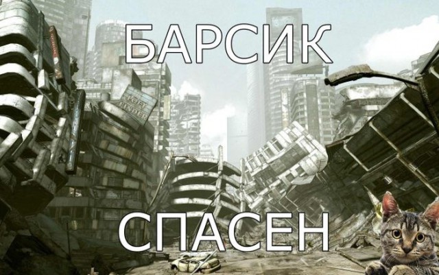 Спасение кота солдатом: взгляд со стороны кота