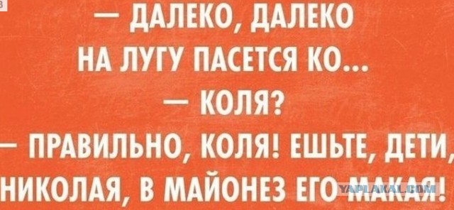 Подборка смешных и забавных фото