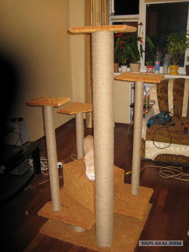 Кошкин дом - он такой