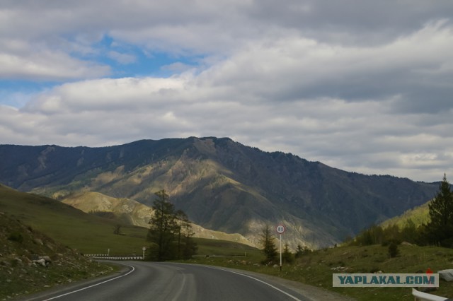 Путешествие по Алтаю в мае 2014 года