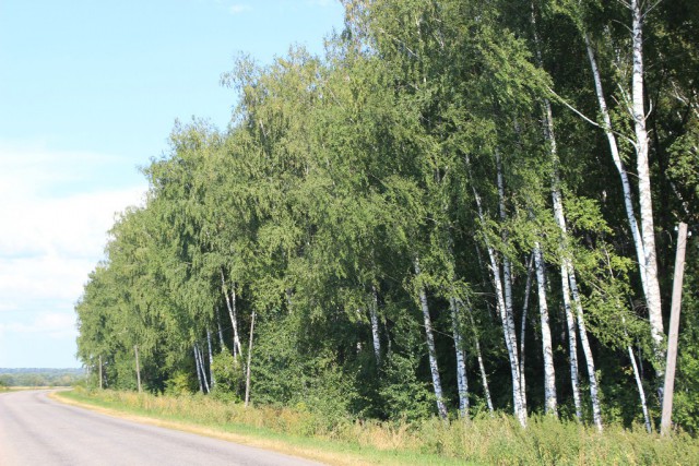 Россия