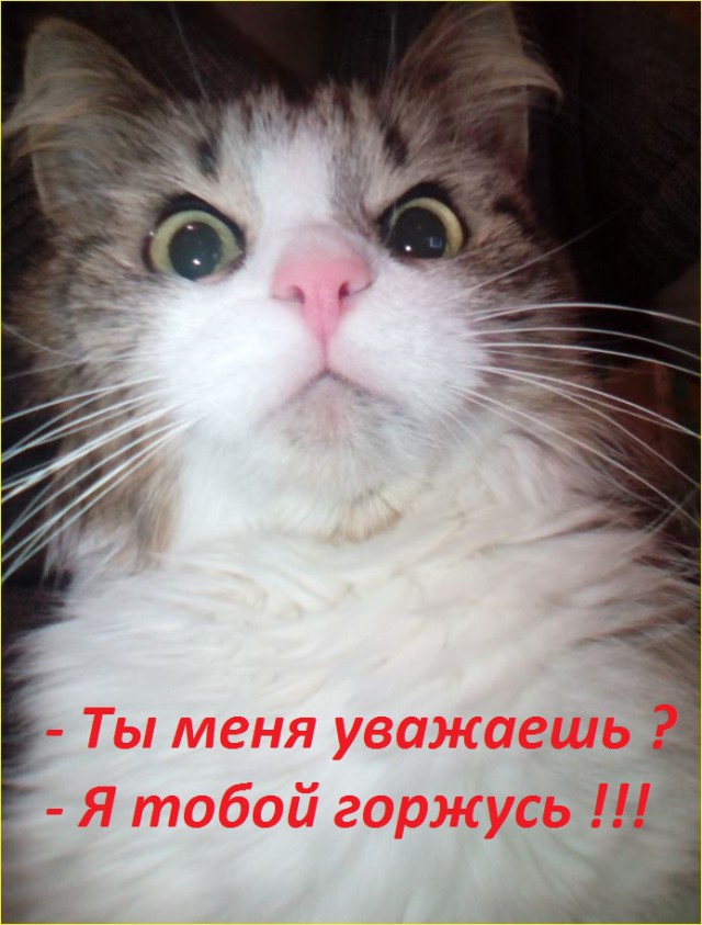 Голод vs Совесть