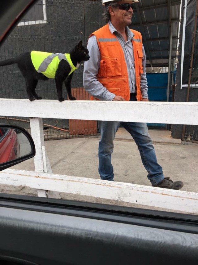 Подборка интересных и веселых картинок