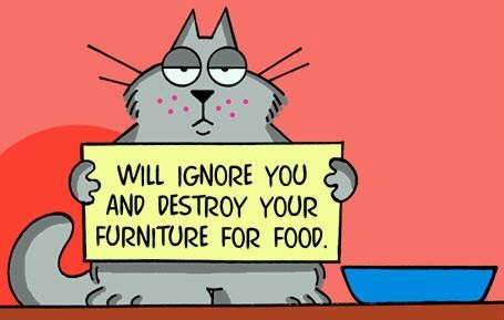 Истинно кошачье поведение