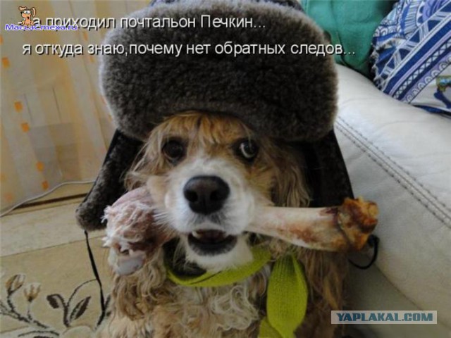 Картинки с букофками