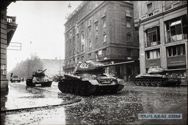 КГБ против "Хезболлы" и другие спецоперации СССР