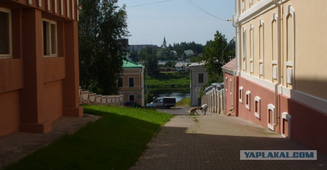 В Россельхознадзоре нашли основания для запрета всей белорусской говядины.  А кто-то удивлен?