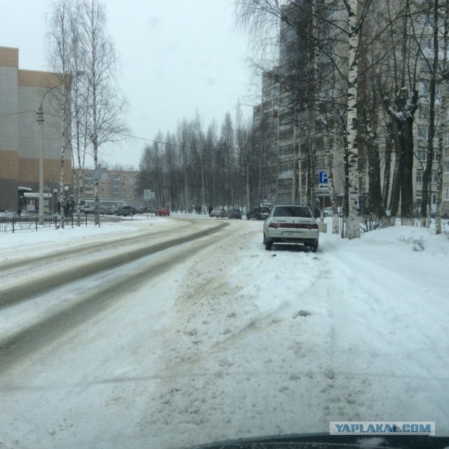 Жизнь как она есть 2