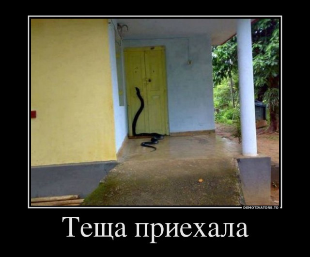 С любовью к теще