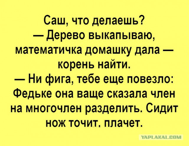 Нестандартный юмор