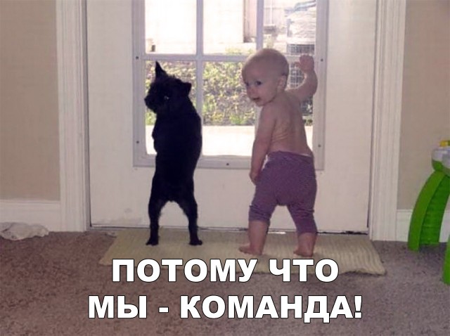 Прикольные картинки абавсём