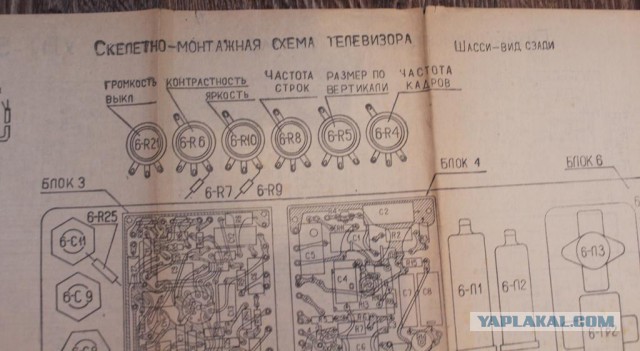 Центральная нервная система человека.