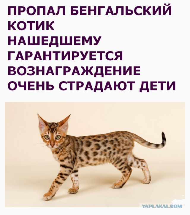 Как назвать?