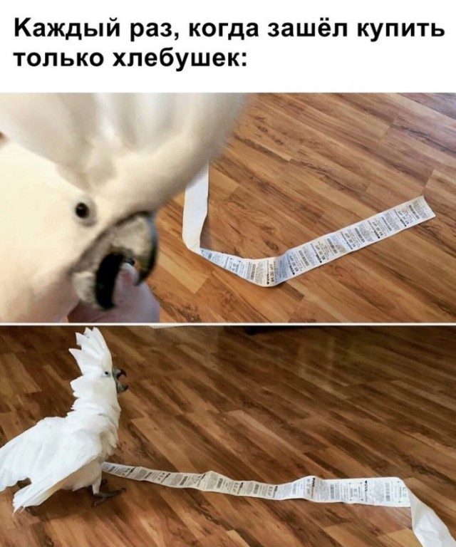 Немного картинок для настроения