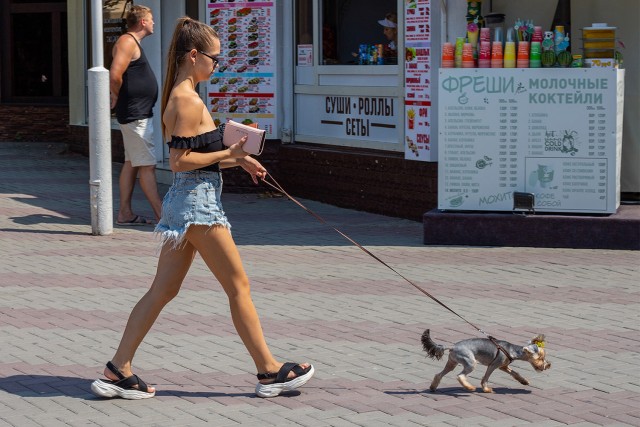 День города в Геленджике
