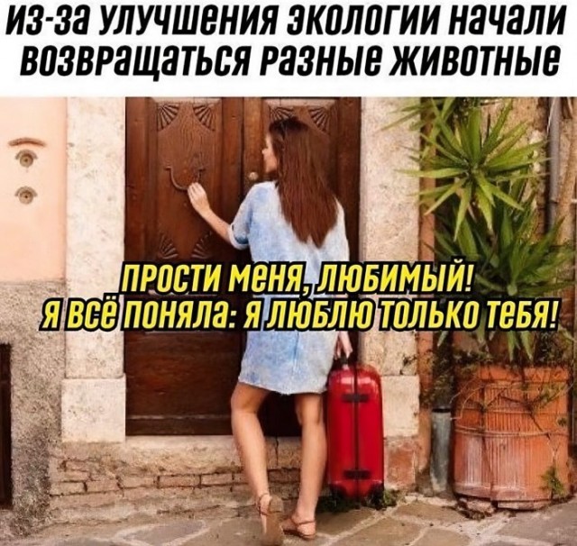 Пара-пара-пам! Фьють! На 14.04.2020