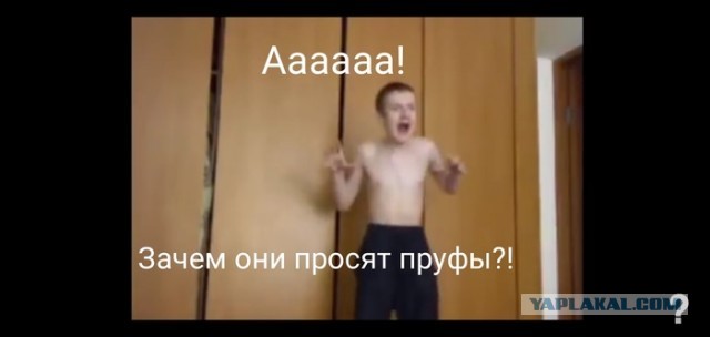 Путин разрешил сплошную вырубку леса у Байкала для расширения БАМ