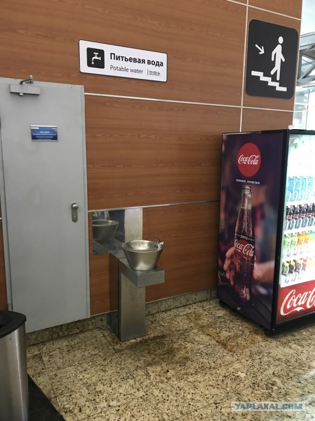 Цены ресторана московского аэропорта смутили даже москвичей....