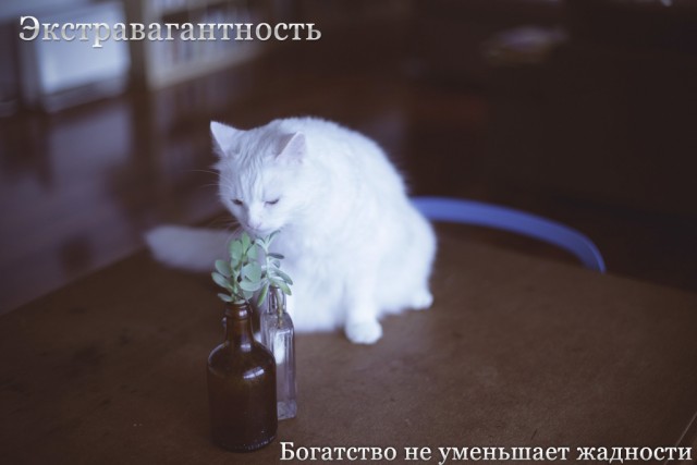 Фотожаба: Создаём свой альбом