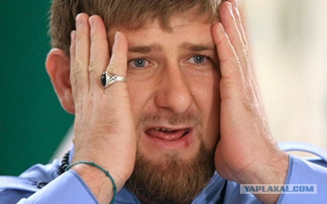 Охладил чечена перцовкой