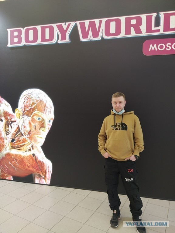 Посетил выставку Body Worlds на ВДНХ