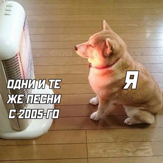 Весёлый полтишок 24.03