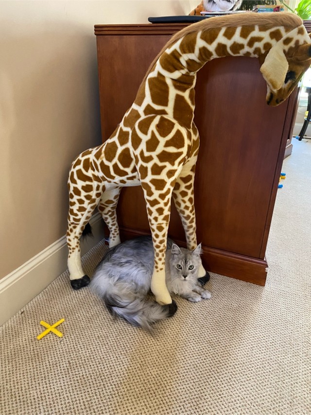 Деревенская Америка - 9